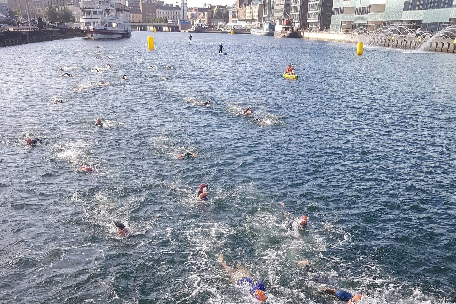 How To Train For 5k Open Water Swim