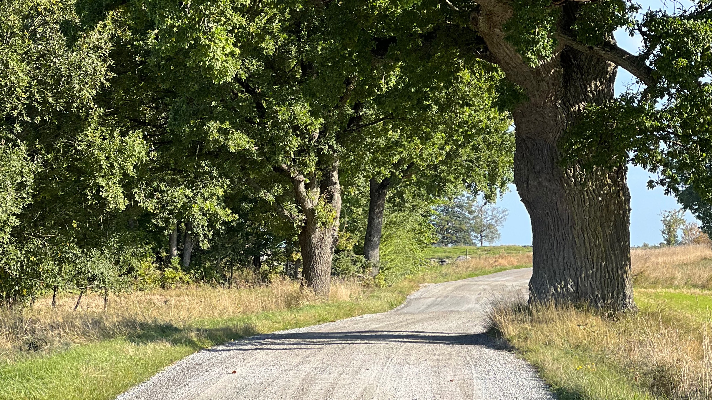 Örebro Gravel 2026